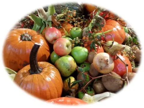 2025-09-29_12-38-15-gemuese_obst_erntedank