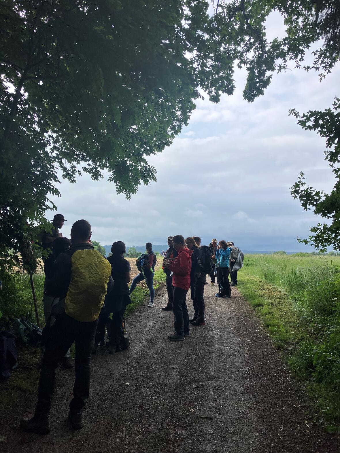Blick auf Andechs von Rausch aus