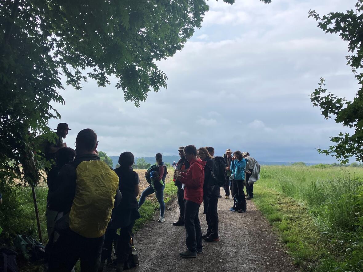 Blick auf Andechs von Rausch aus